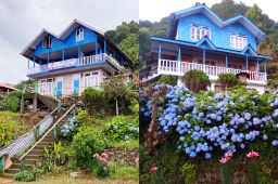 Pinewood Resort