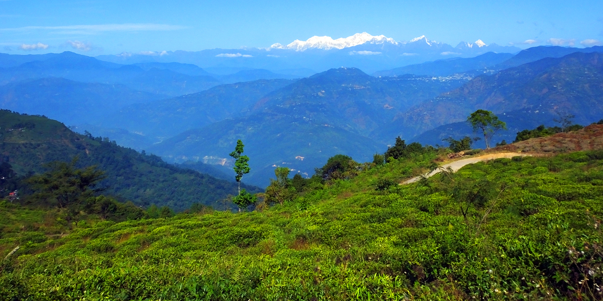 Himalayan Milestone