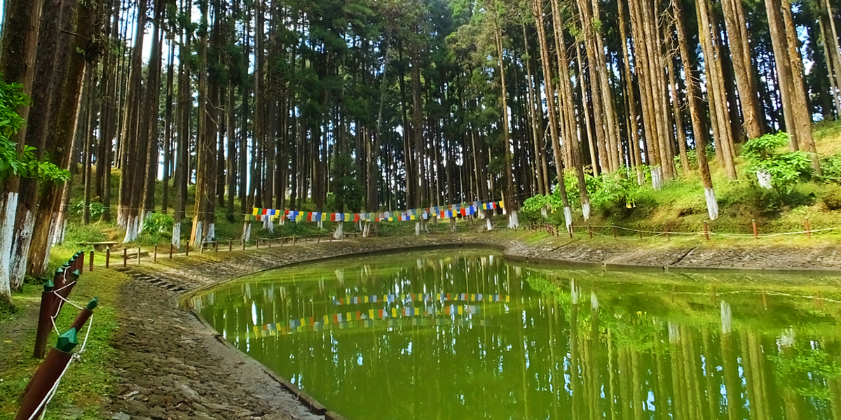 Himalayan Milestone