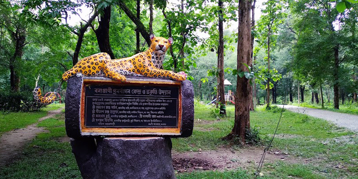 Himalayan Milestone