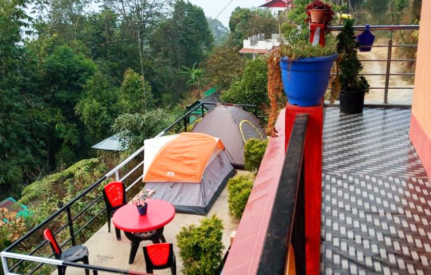 Orange Tree Homestay