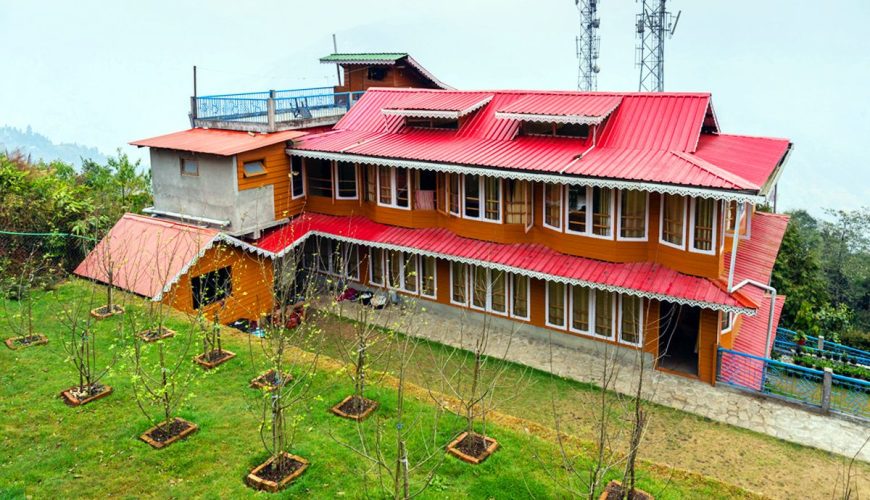 Little Forest Homestay