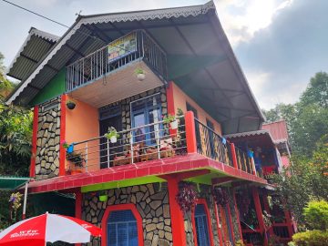 Orange Tree Homestay