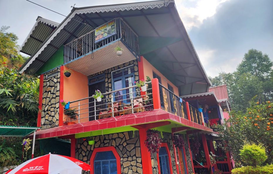 Orange Tree Homestay