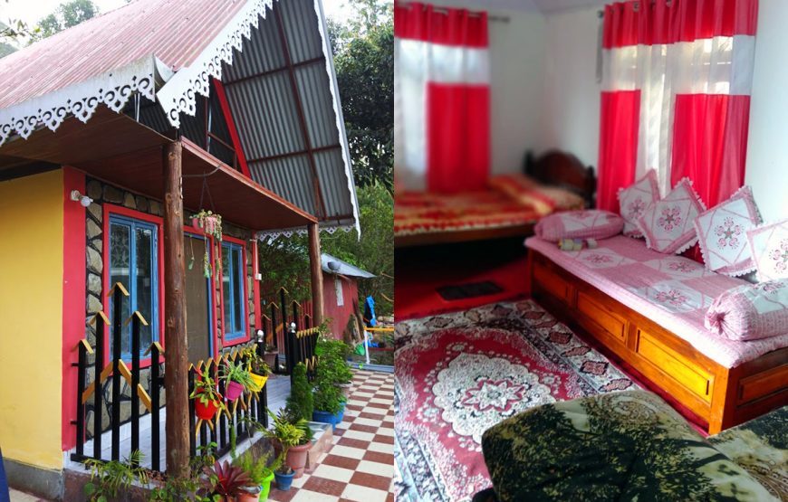 Orange Tree Homestay