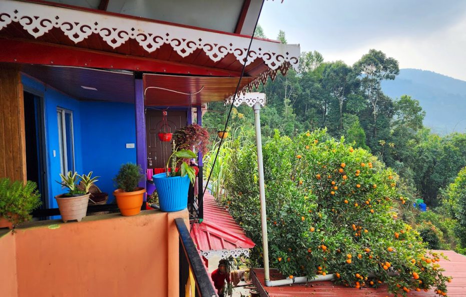 Orange Tree Homestay