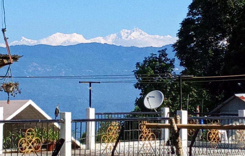 Orange Tree Homestay