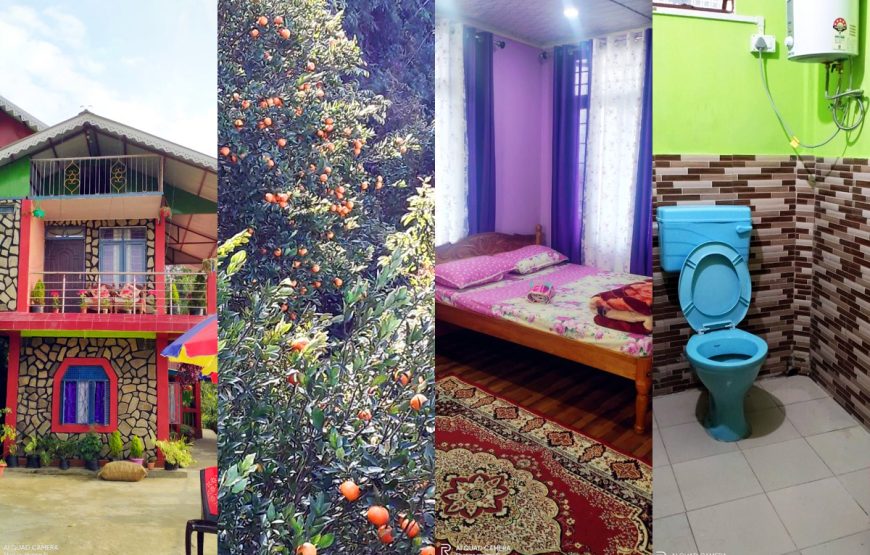 Orange Tree Homestay