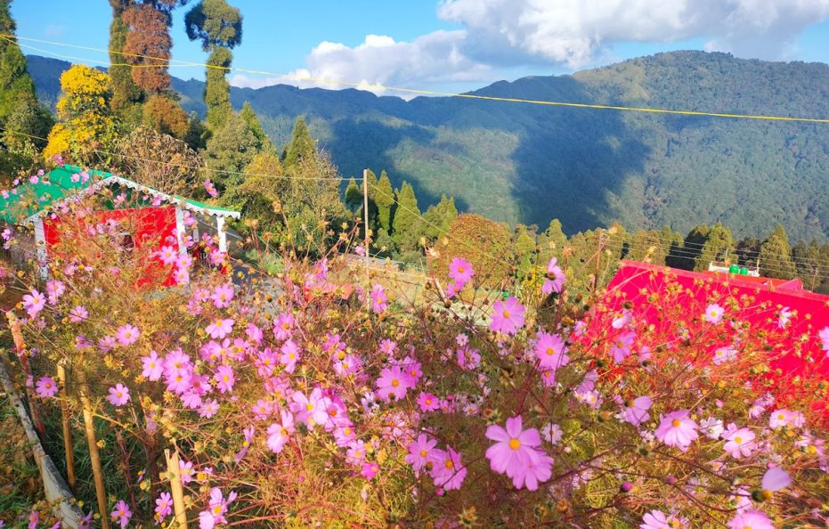 Prem Homestay