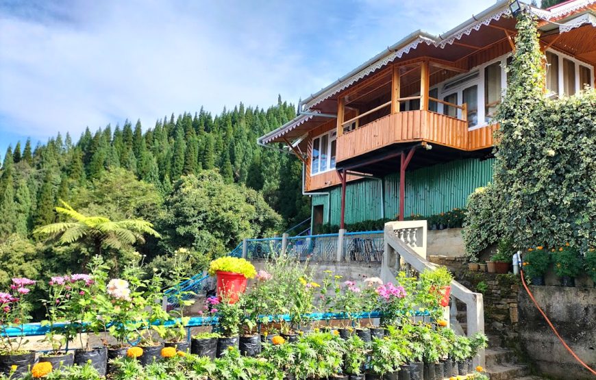 Little Forest Homestay