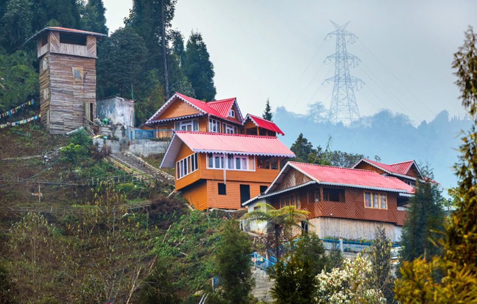 Little Forest Homestay